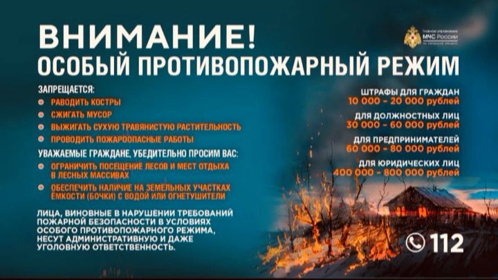 С 11 апреля 2025 года, на территории Алтайского края введен особый противопожарный режим!.